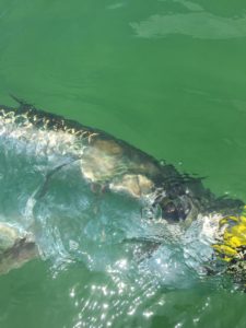INSHORE FISHING SANTA ROSA BEACH