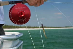 SANTA ROSA BEACH TARPON GUIDE