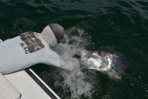 TARPON FISHING SEASIDE FLORIDA