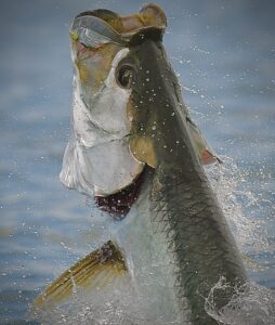 30A FISHING