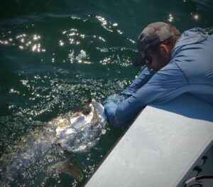 ALYS BEACH FLY FISHING